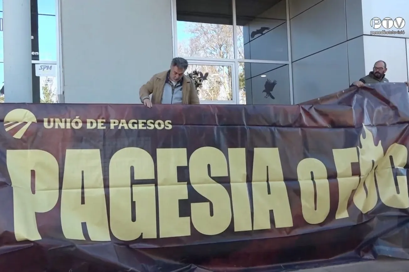 Unió de Pagesos alerta d'una «crisi molt forta» al sector vitivinícola amb preus de liquidació a 40 cèntims